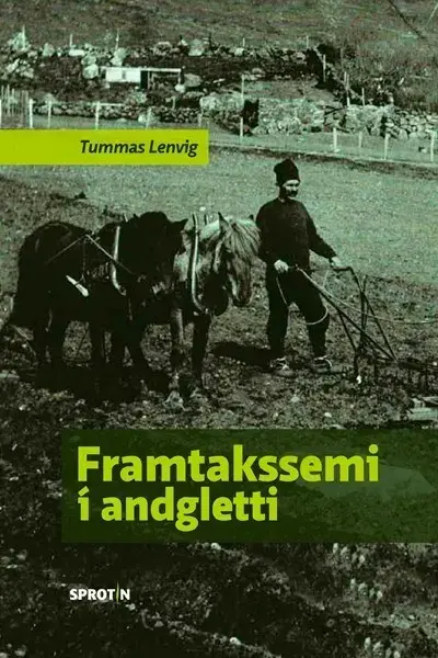 Framtakssemi í andgletti