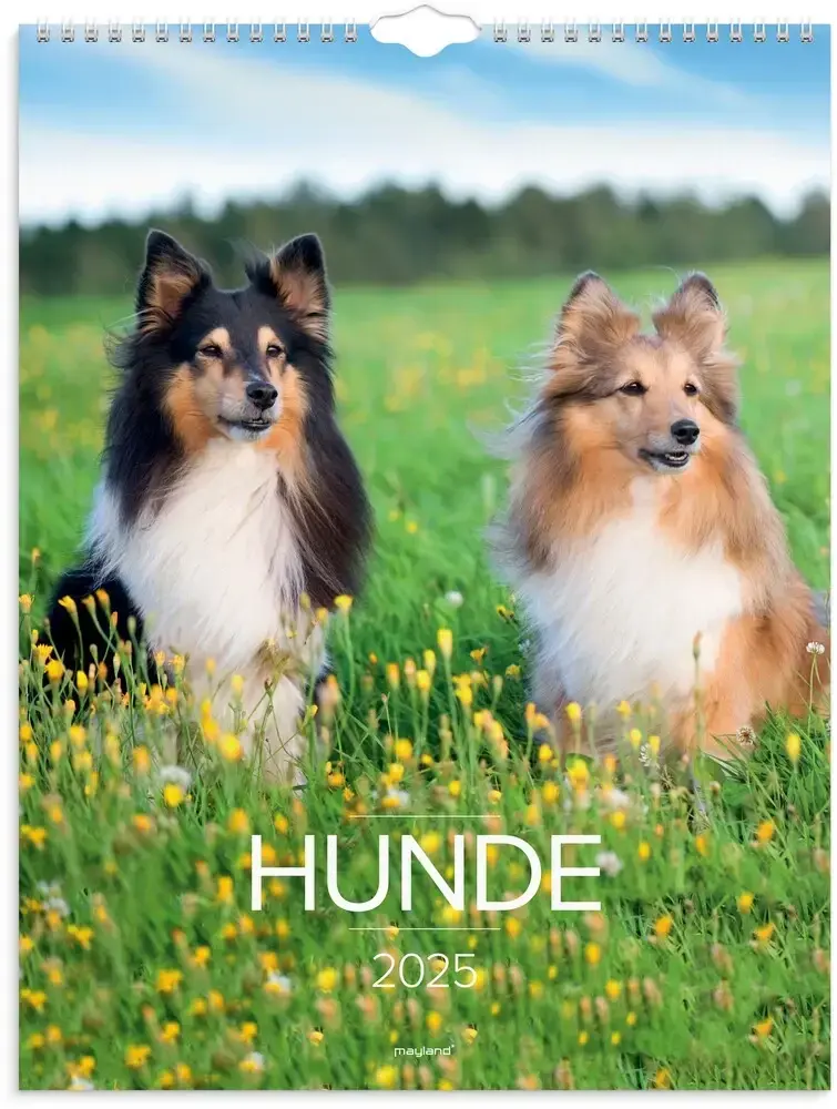 Mayland Vægkalender 2025 hunde 29,5 x 39 cm