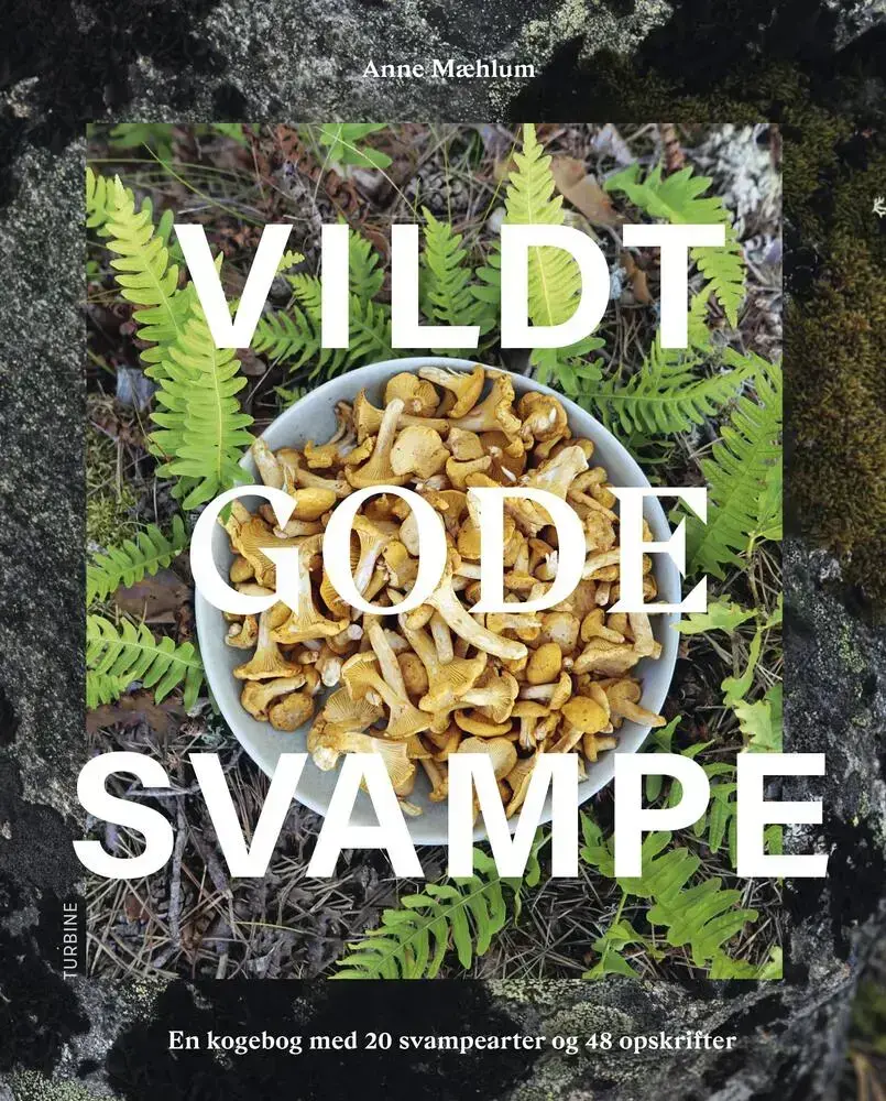 Vildt gode svampe