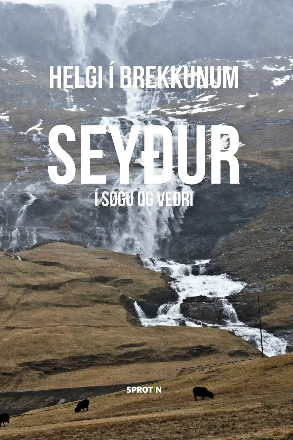 Seyður í søgu og veðri (6)