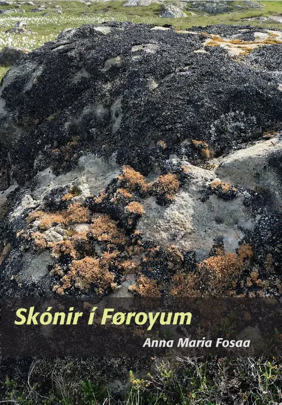 Skónir í Føroyum (48)