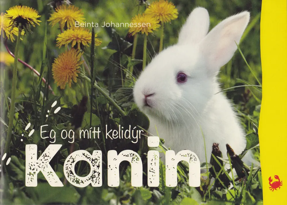 Eg og mítt kelidýr -  Kanin