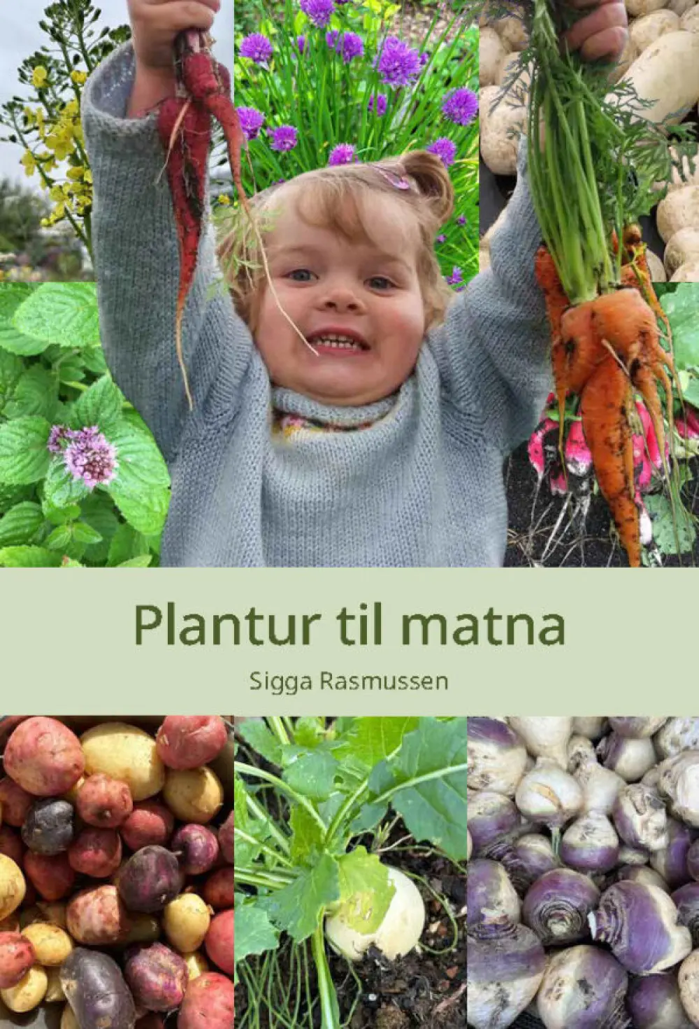 PLANTUR TIL MATNA