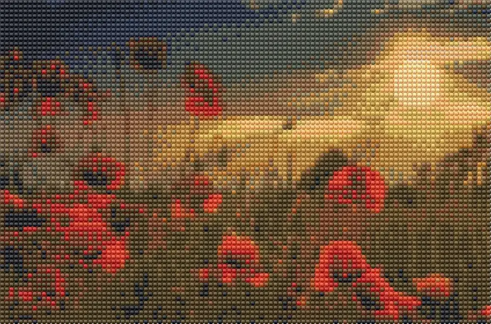 Diamond Art Valmuer/Natur 20X30Cm