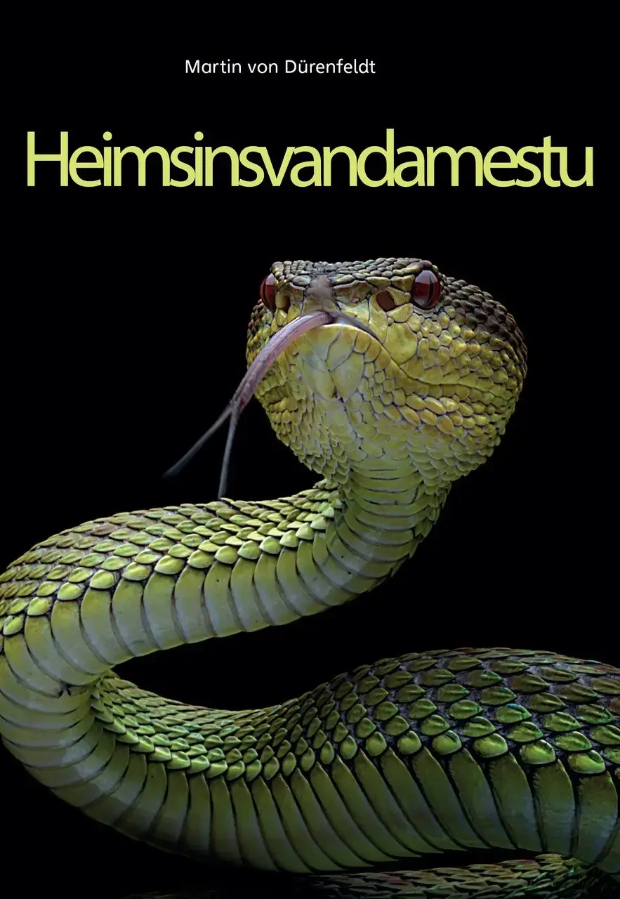 Heimsins vandamestu