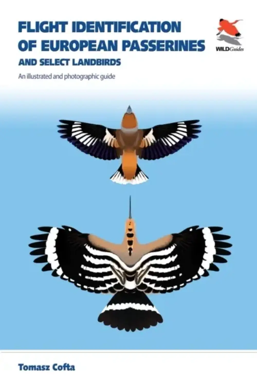 Flight Identification of European Passerines and Select Land