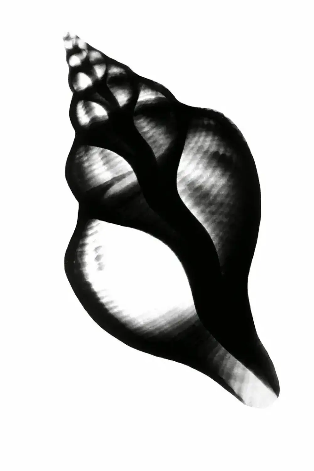 Mens jeg sover, glemmer jeg dig