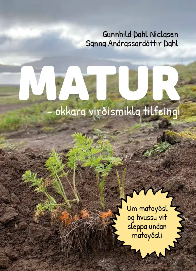 Matur - okkara virðismikla tilfeingi