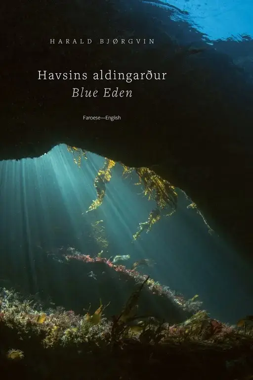 Havsins aldingarður (11)