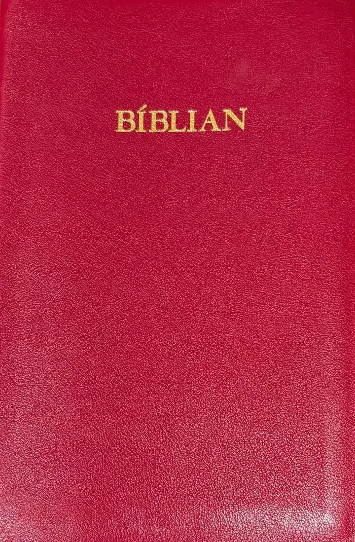 BÍBLIAN LÍTIL REYÐ